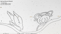 Thumbnail for version as of 08:40, 24 September 2026