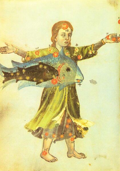 File:And asSufi MSGotha.jpg