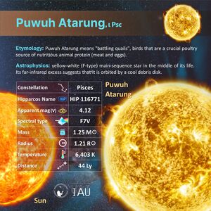 Puwuh Atarung profileCard SadeghFaghanpour-IAU-WGSN.jpg