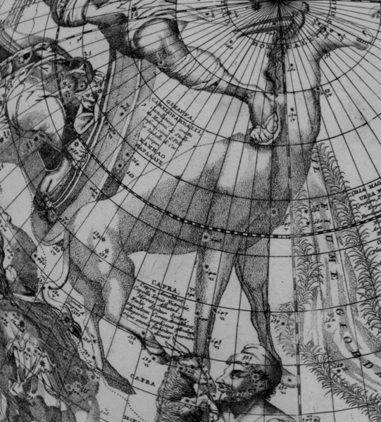 File:Camelopardalis Coronelli1688.png