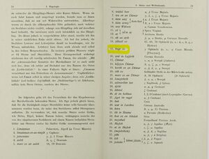 Erdland1914 Bake-eo.jpg