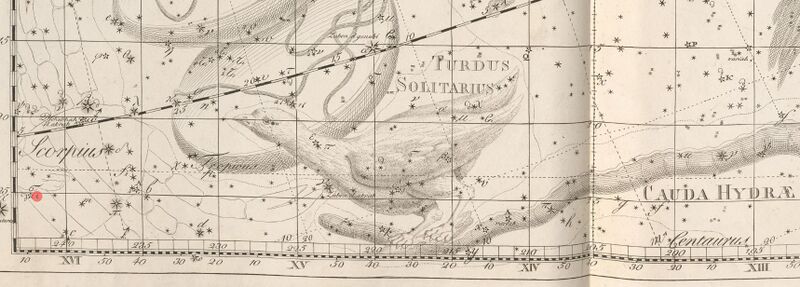 File:Solitaire bode1801.JPG