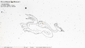 Thumbnail for version as of 08:36, 24 September 2026