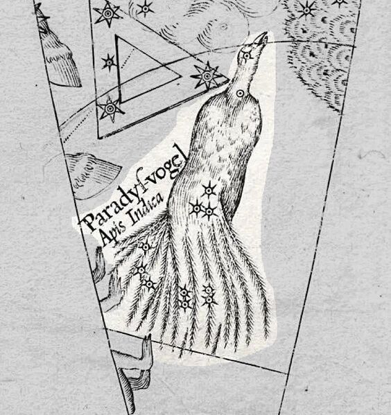 File:Plancius-apus hi.jpg