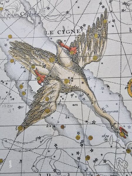 File:Cyg Fortin1795.jpg