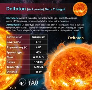 Deltoton profileWGSN.jpeg