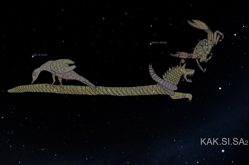 File:Cnc Hya KAKSISA stellarium.jpg