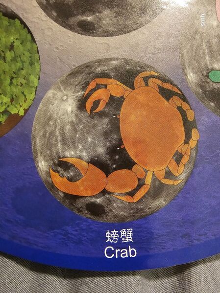 File:MoonCrab HK2024.jpeg