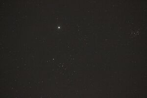 Jupiter Taurus IMG 2601.JPG