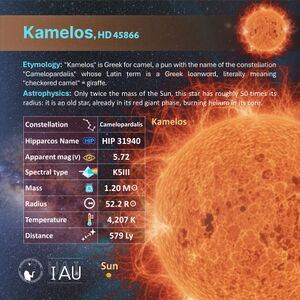 Kamelos profileCard SadeghFaghanpour-IAU-WGSN.jpg
