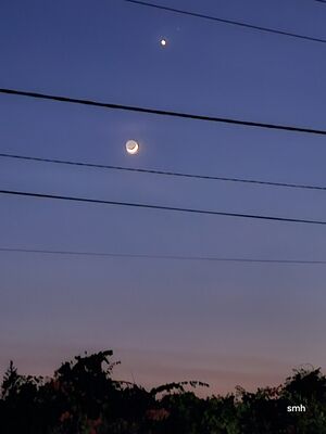Moon+Venus 20241005 180945.jpg