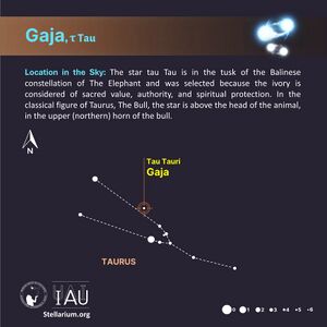 Gaja stickfigure SadeghFaghanpour-IAU-WGSN.jpg