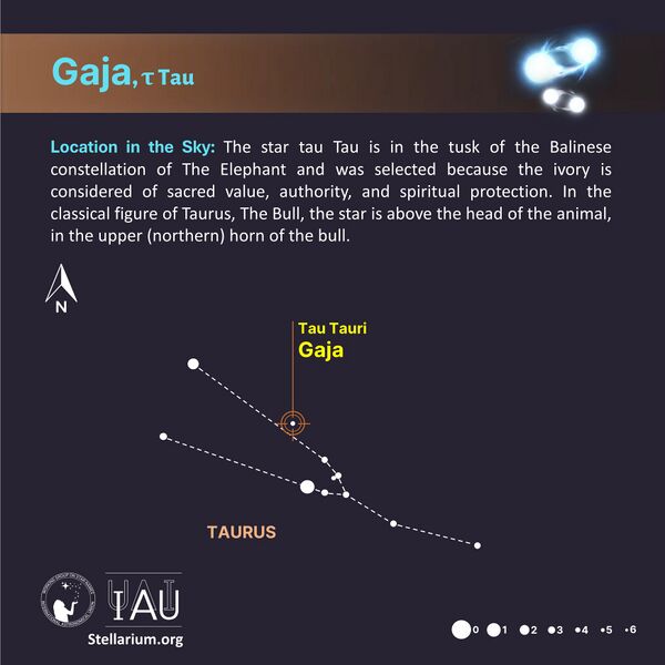 File:Gaja stickfigure SadeghFaghanpour-IAU-WGSN.jpg