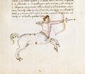 Vienna, ONB Vindob 3394 n.b. – leaps to right, furry band at waist, bow drawn