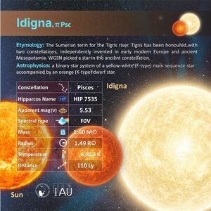 Idigna profileCard SadeghFaghanpour-IAU-WGSN.jpg