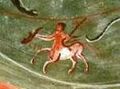 Thumbnail for version as of 06:37, 23 October 2026