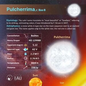 Pulcherrima profileCard SadeghFaghanpour-IAU-WGSN.jpg