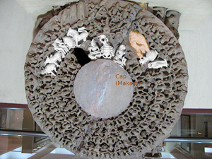 Stonesculpture Dikmandal cap.png