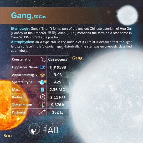 File:Gang profileCard SadeghFaghanpour-IAU-WGSN.jpg