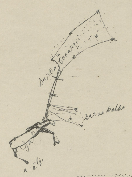 File:Sarvvis Sami-culture.png