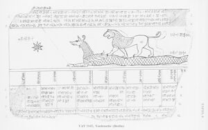 Drawing of the Lion-constellation on VAT 7847