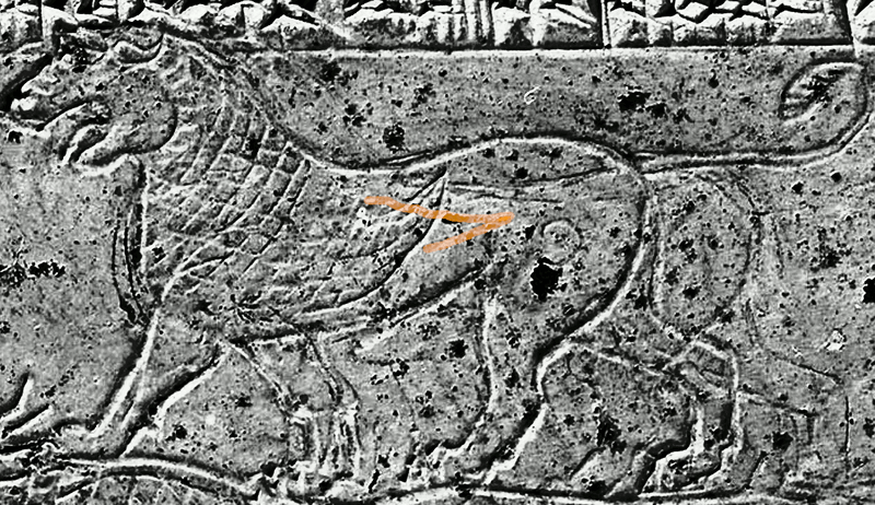 File:Lion VAT 7847 smb2026 GIF.gif