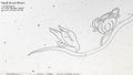Thumbnail for version as of 08:39, 24 September 2026