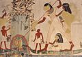 On this painting adorning the tomb of Menna, a noble scribe during the reign of Amenhotep III (XVIIIth Dynasty), two Nile perches, fish with delicious flesh, are clearly visible. (image citation from Comptoir