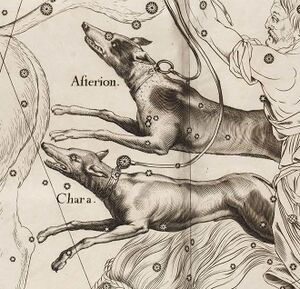 CVn Hevel detail.jpg