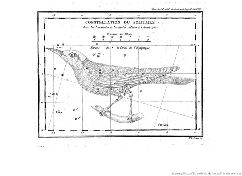 File:LeMonnier1776 solitaire.jpeg