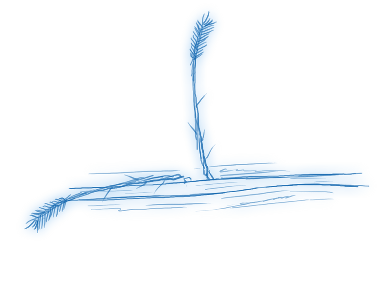 File:ALT 11 virgo bab.png