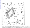 Frosty Leo in IR from Forveille et al. (1987) with highlighted polarisation (Mauron et al. 1989)[2].
