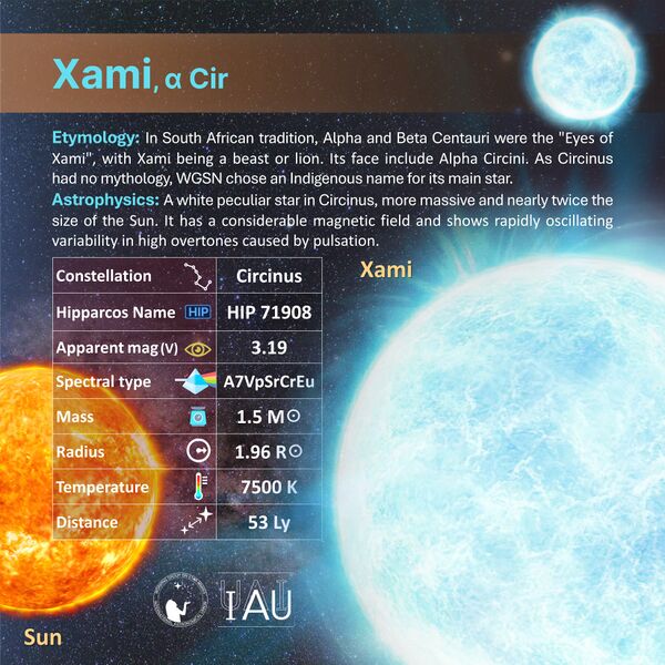 File:Xami profileCard SadeghFaghanpour-IAU-WGSN.jpg