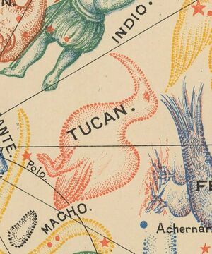 Simon Tucana 1894.jpg