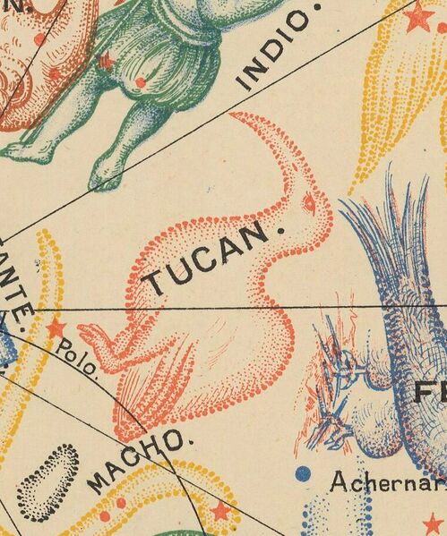 File:Simon Tucana 1894.jpg