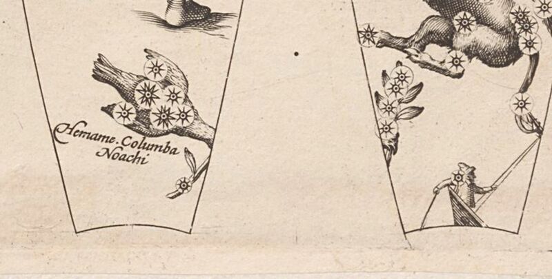 File:Columba Noah plancius1612.JPG