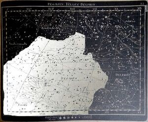 Pegasus Goldbach1799 hi pegWhite.jpg