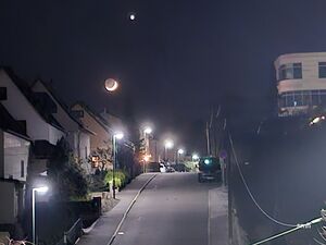 Moon+Venus+Streetlights 20250201 201434.jpg