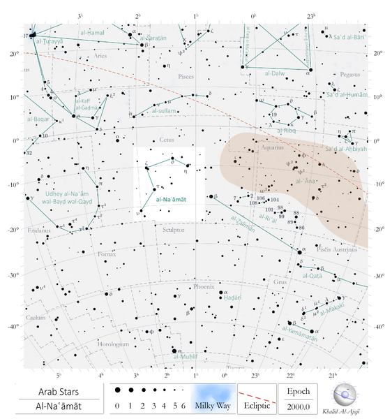 File:Naamat chart.png