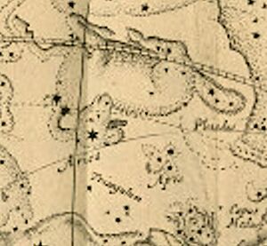 Apis Habrecht1621.JPG