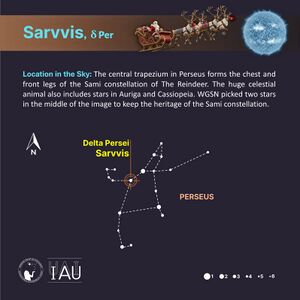 Sarvvis stickfigure SadeghFaghanpour-IAU-WGSN.jpg
