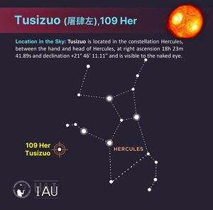 WGSN profile card - map of Tusizuo