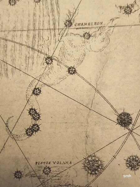 File:Cha Bayer1603.jpg