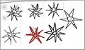 Thumbnail for version as of 17:10, 1 May 2026