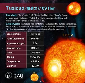 WGSN profile card of Tusizuo