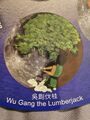 Wu Gang (吳剛, Wú Gāng), The immortal Lumberjack on the Moon (China).