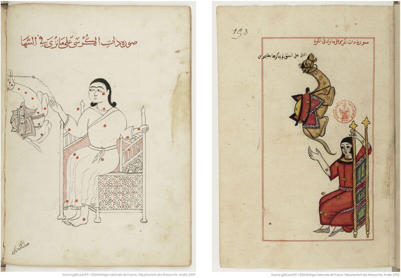 File:ArabicCame laffitte2025.jpg