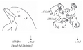 Thumbnail for version as of 09:54, 1 July 2026