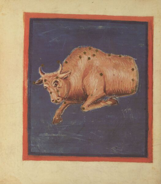 File:Aratea fol. 24v.jpg