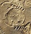 Cancer, circular zodiac of Dendera (CC BY Musée du Louvre, Département des Antiquités égyptiennes)